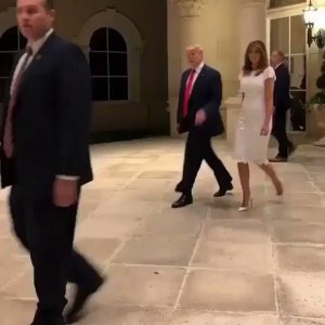 Rena TextTrump88022 on Twitter