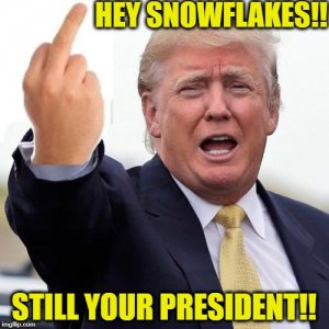 0594611D-E606-4EED-A4C4-F82E93ED853D.jpeg