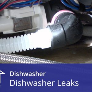 Dishwasher Leaks