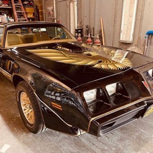 trans ams of instagram on Instagram: “@jlcustomautobody  @6irdman  #transamsofinstagram #transamofinstagram #transams_of_instagran ##carsofinstagram #pontiac #transam #firebird…”