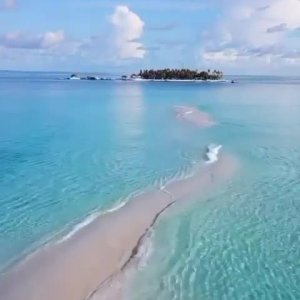 Gussie J. Rouillard on Instagram: “Would you explore the beautiful beaches in the Maldives????? I used to think places like this only existed in dreams ???? ???? Tag a friend that has…”