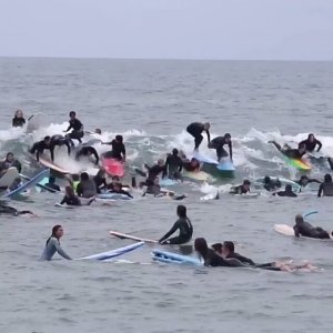 Rui Pedro on Instagram: “WTF ??? Look's like Surf ????  schools summer crowd is out . Video:@nickkelleyfilms . . . . . . . . . . . . . . . . . . . . . . . . . . . . .…”