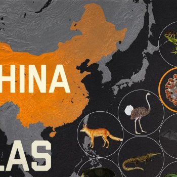 Why new diseases keep appearing in China