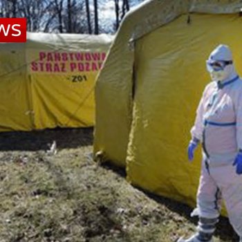 COVID-19 'much, much worse than Ebola'