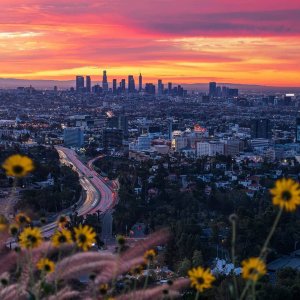 California on Twitter