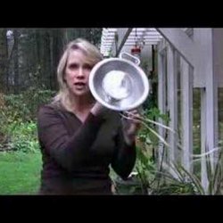H&G Video of the Week: Winter hummingbirds