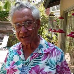 Hummingbird Man