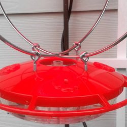 Winterized hummingbird feeder