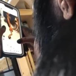 Ape Using Instagram Exactly Like You Do!