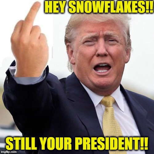 0594611D-E606-4EED-A4C4-F82E93ED853D.jpeg