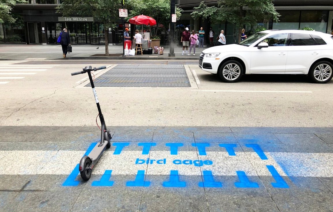 #bird