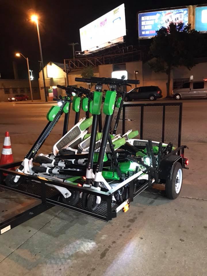 lime4.jpg